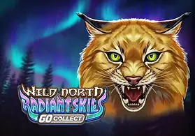 Wild North Radiant Skies artwork